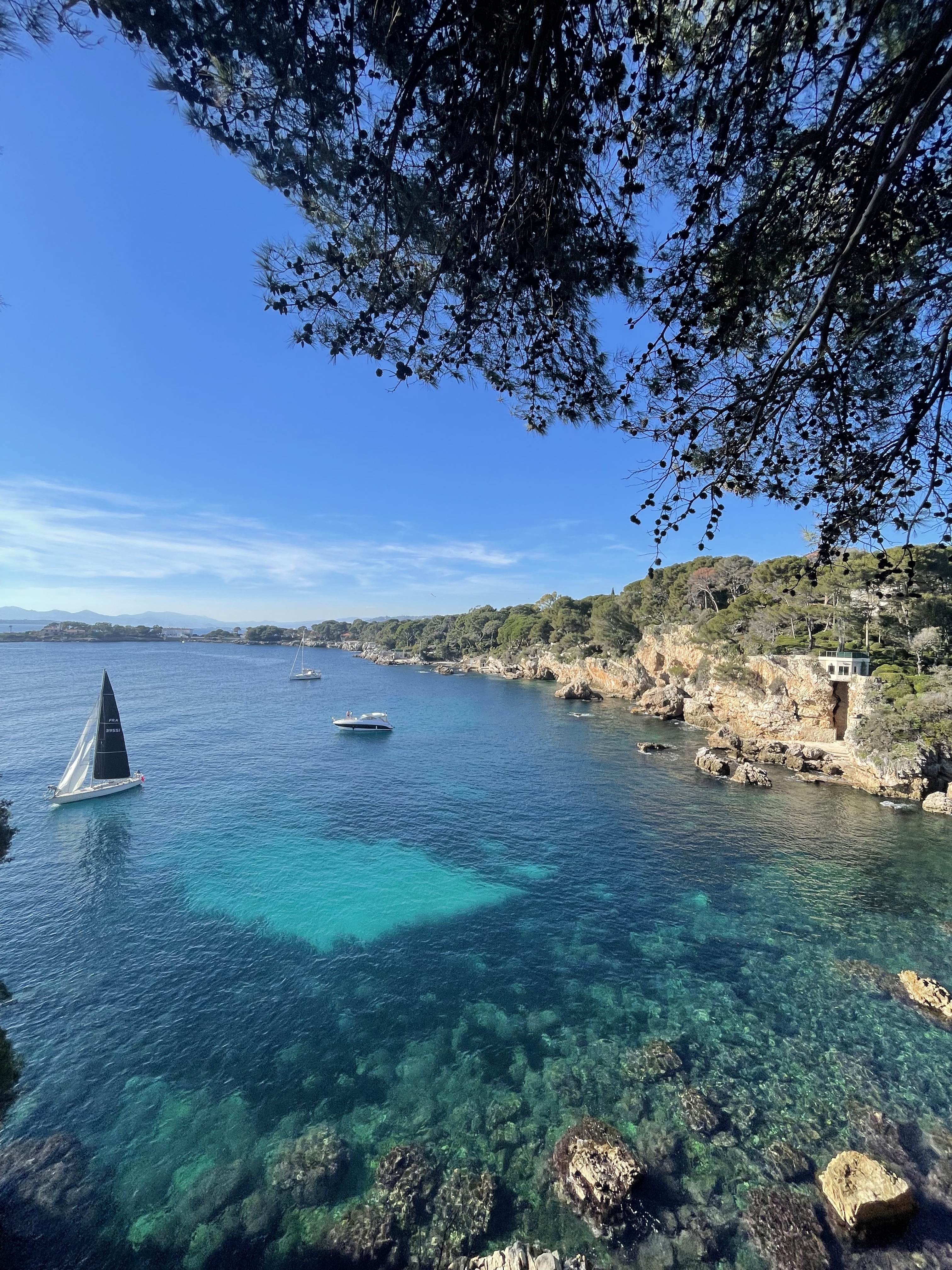 View of the billionnaires bay in Antibes during walking tour