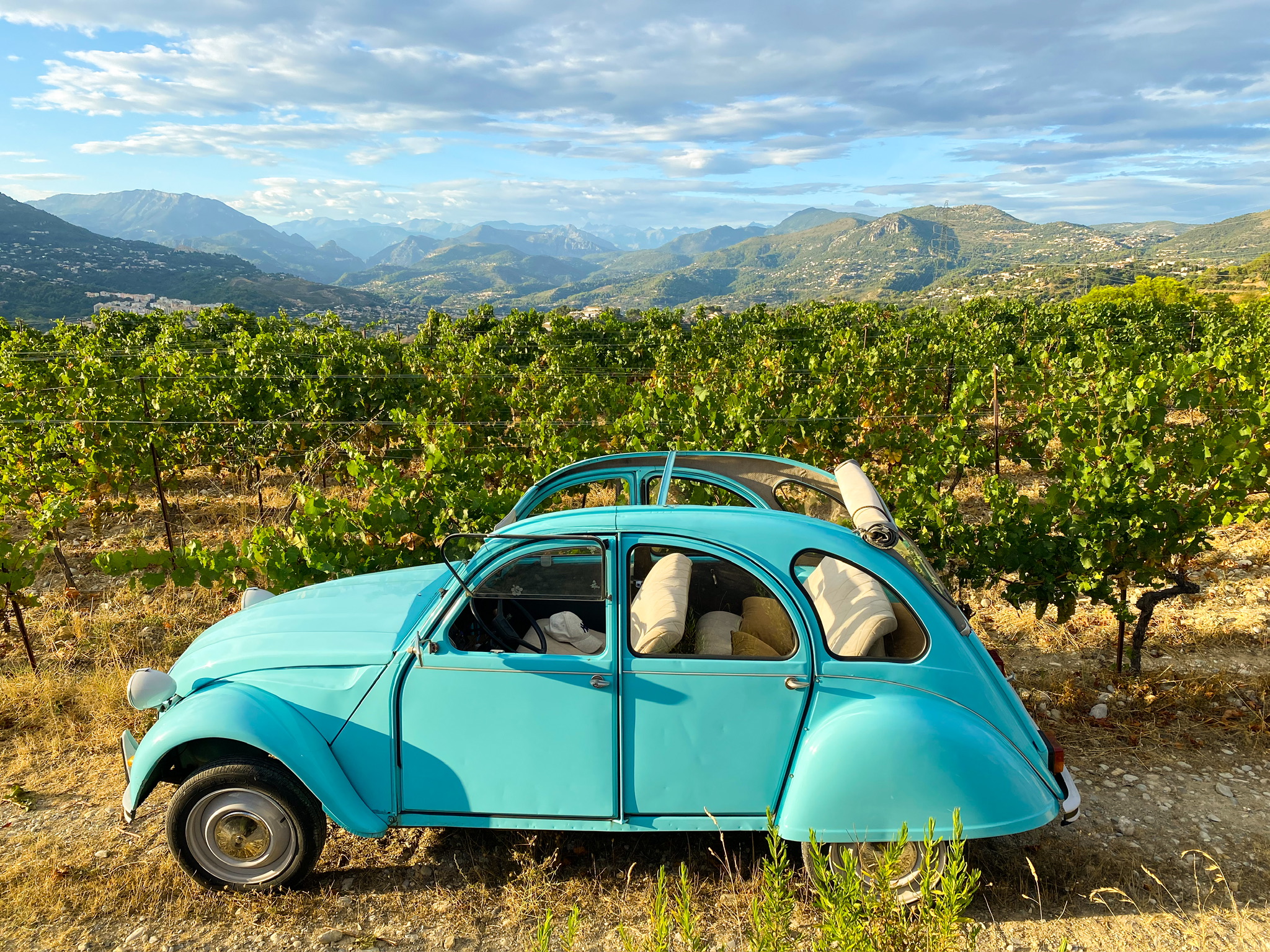 Rear view mirror or car Citroen looking at wineries Nice