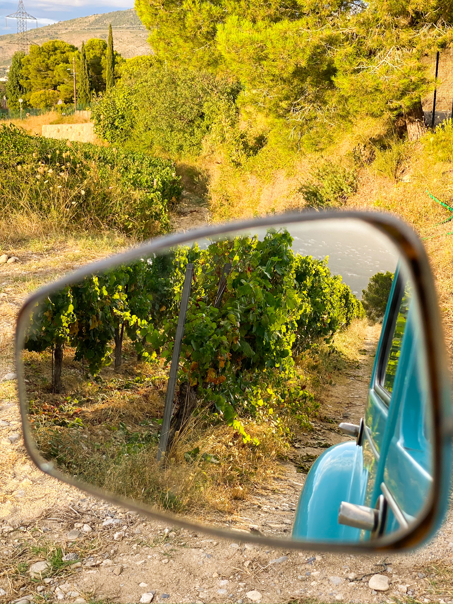Rear view mirror or car Citroen looking at wineries Nice