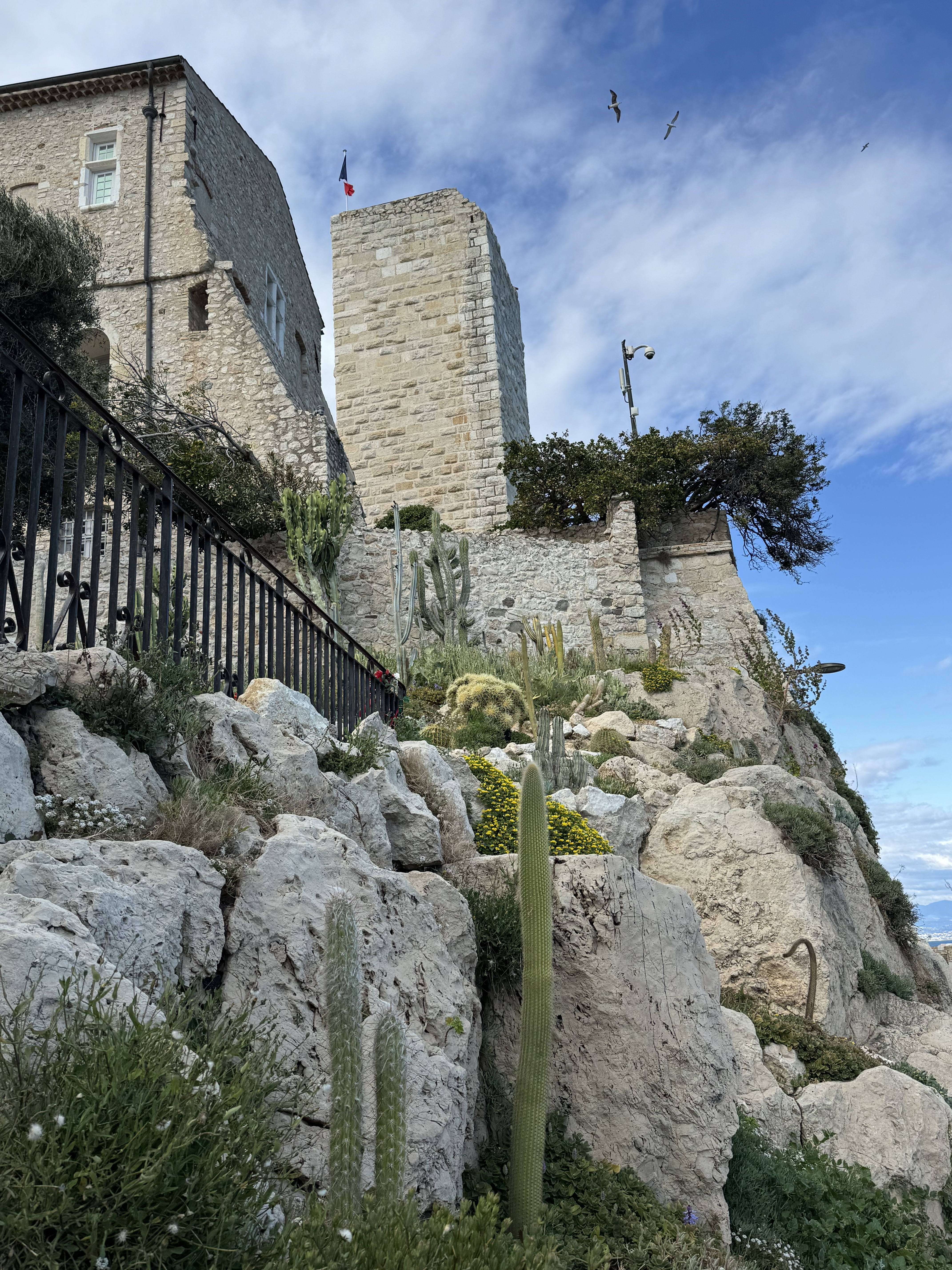 Picasso Museum seen from water level with french flag in Antibes with cactus