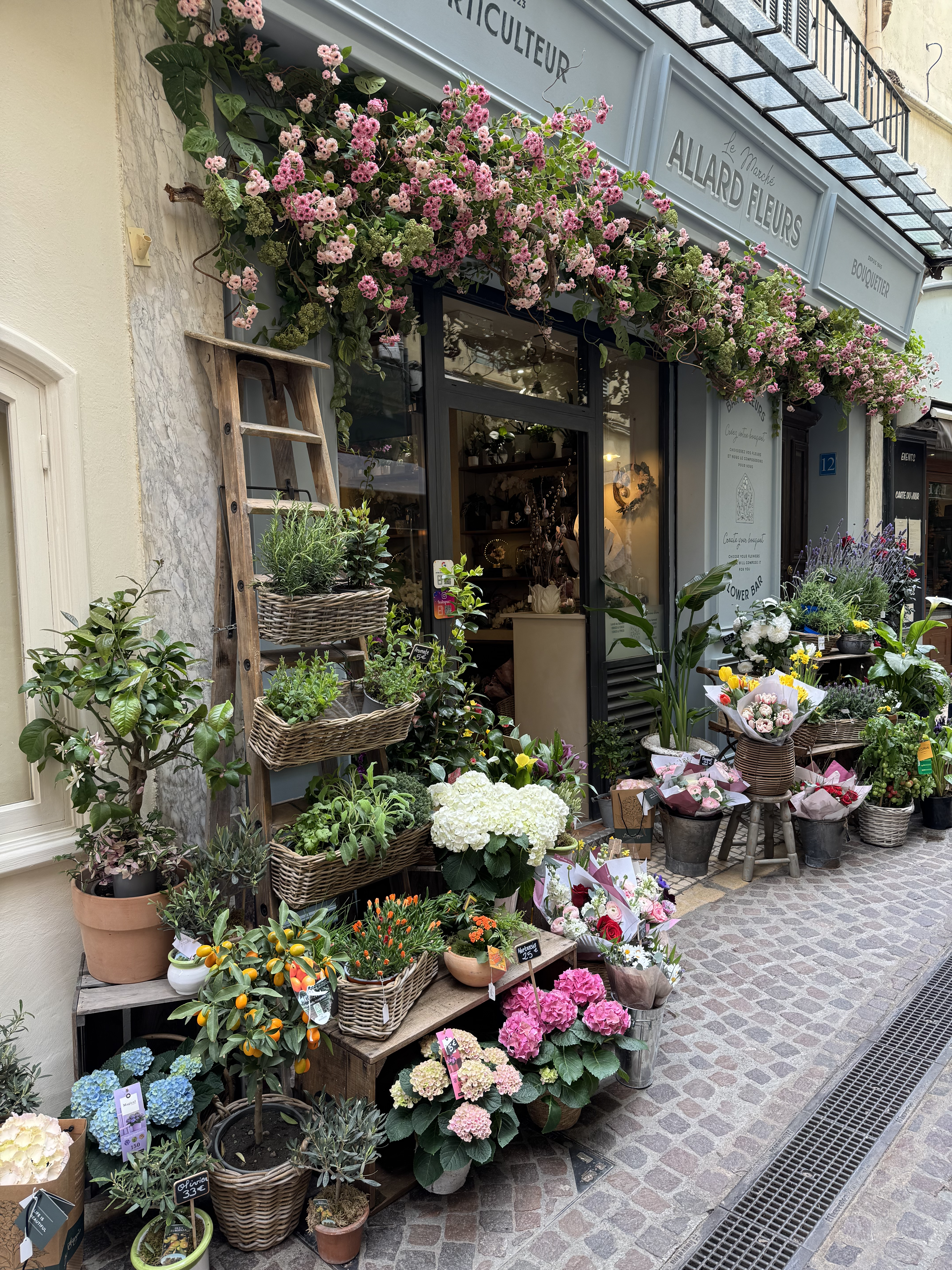 Flower merchant on rue sade in antibes during walking tour